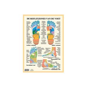 Poster Geplastificeerd Voetreflexzone