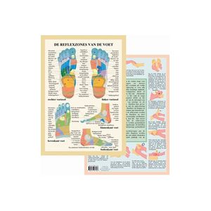 Poster Geplastificeerd Voetreflexzone A4