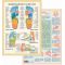 Poster Geplastificeerd Voetreflexzone A4